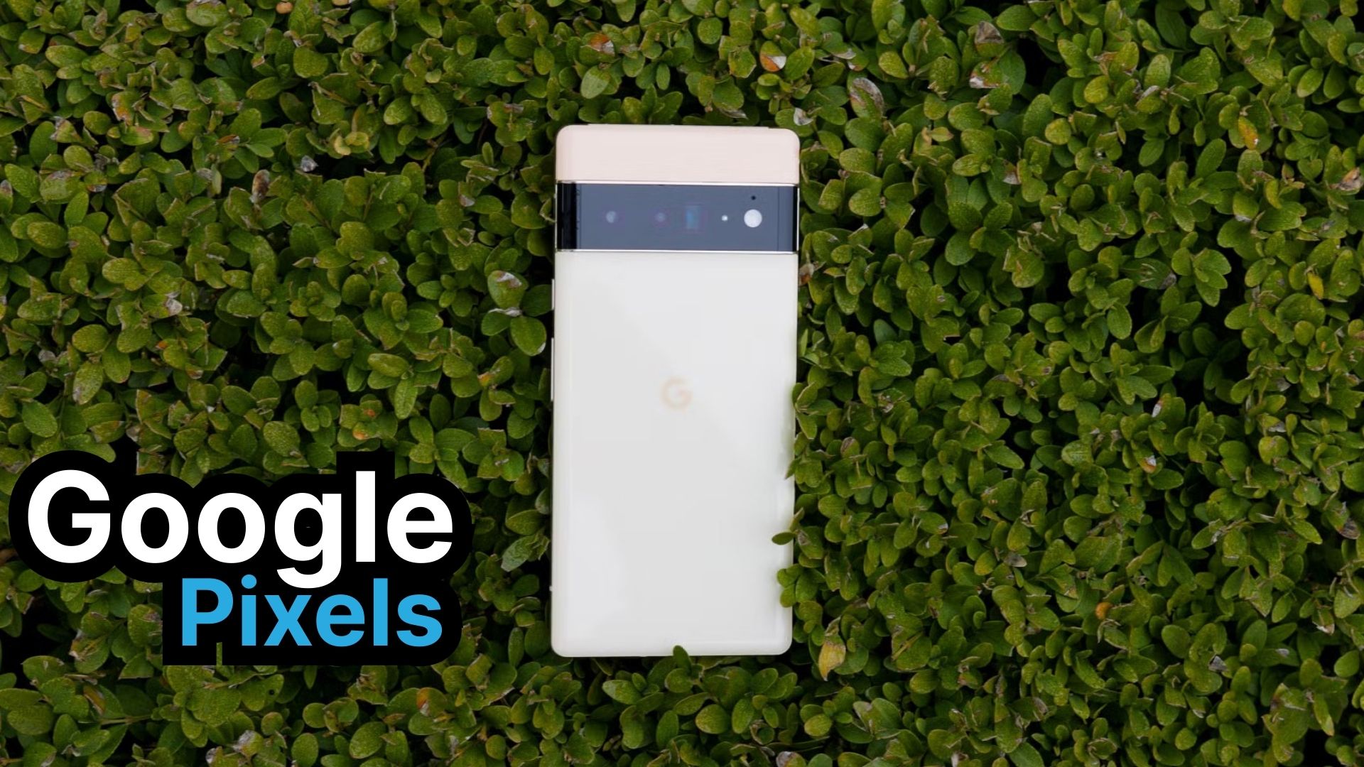 Bricked Pixel Phones: Users Report Major Issues and Lack of Recovery Options